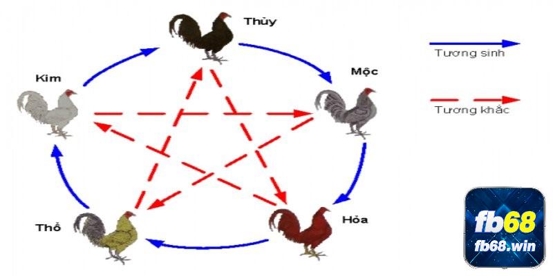 Xem ngày chơi theo ngũ hành để thắng lớn